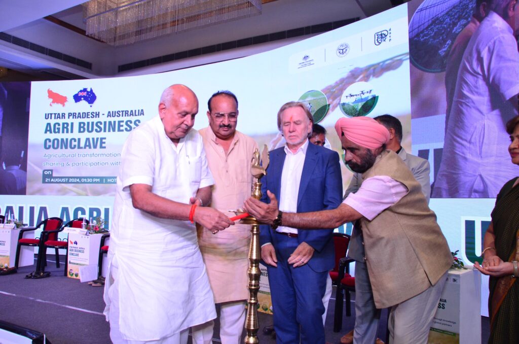 WhatsApp Image 2024-08-22 at 8.08.42 AM