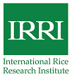 IRRI